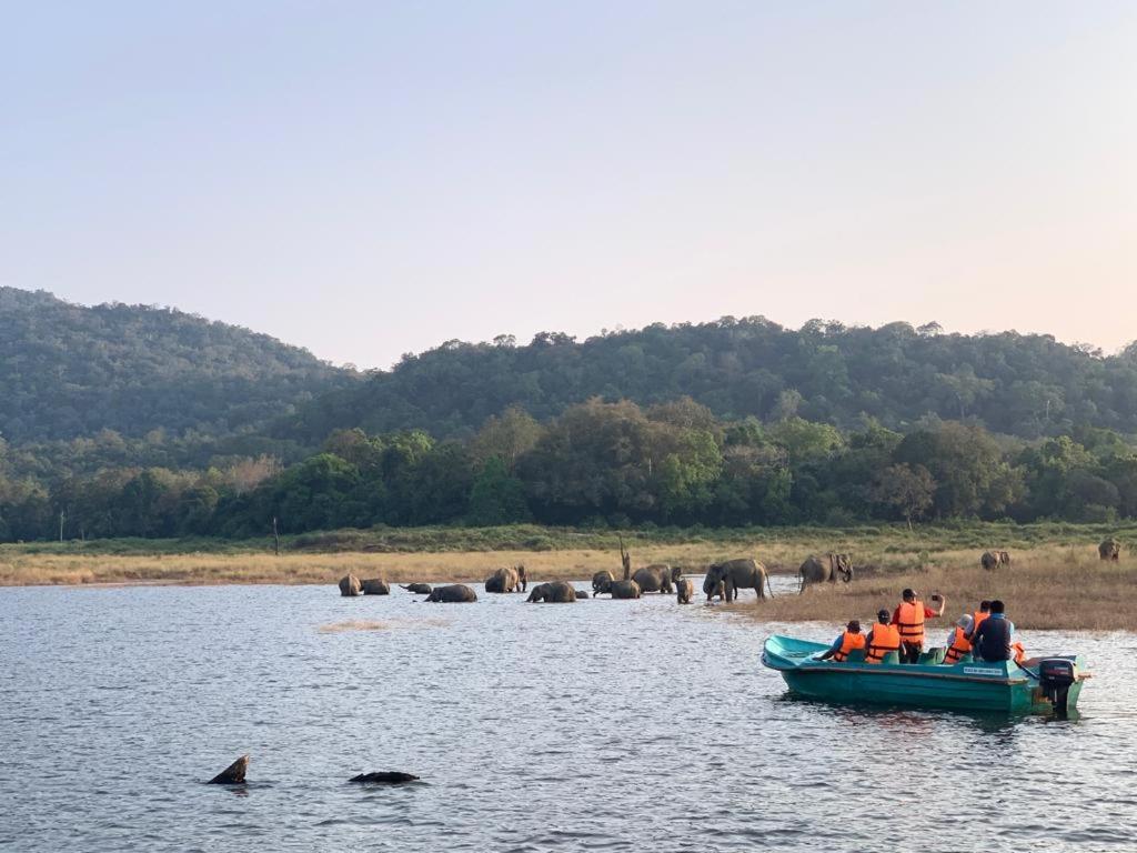Gal Oya Lake View Inginiyagala Polwatta Buitenkant foto