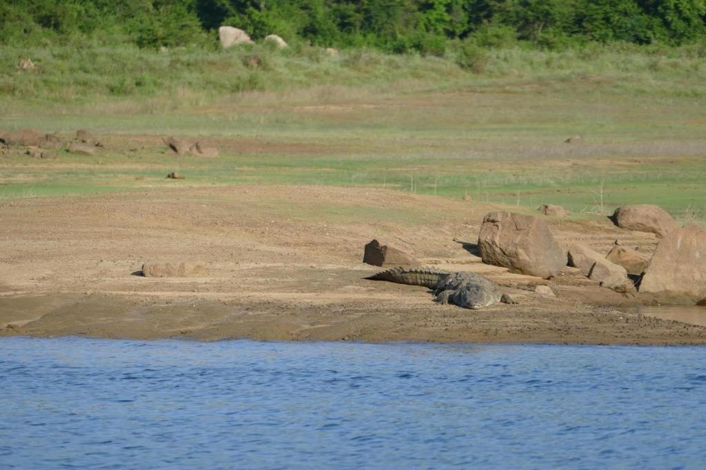 Gal Oya Lake View Inginiyagala Polwatta Buitenkant foto